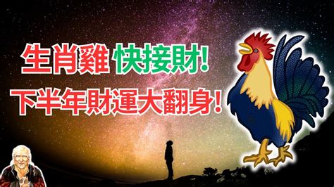 屬雞適合的生肖|屬雞適合什麼生肖？深入解析與最佳配對指南